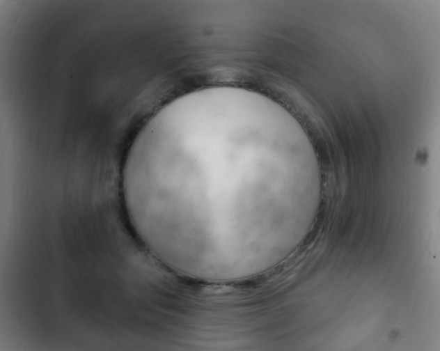 X0000103400557200809120926
