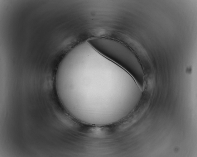 X0000103400558200809120926