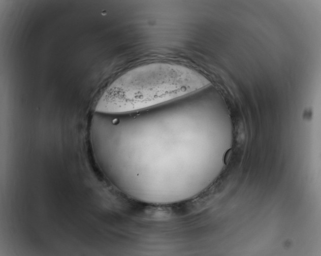 X0000103400559200809120926