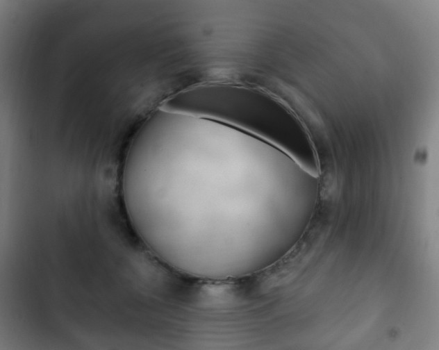 X0000103400560200809120926