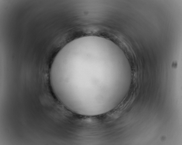 X0000103400561200809120926