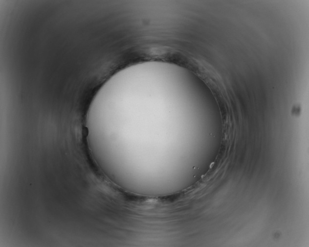 X0000103400562200809120926