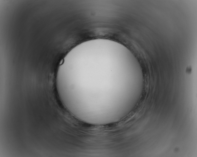 X0000103400563200809120926