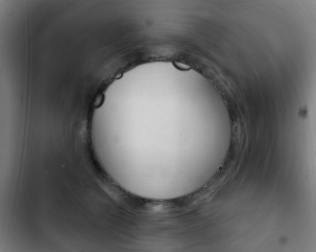 X0000103400564200809120926