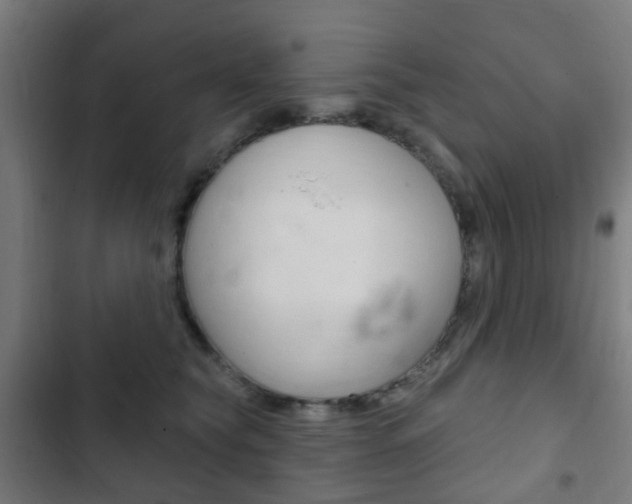 X0000103400565200809120926