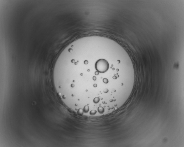 X0000103400566200809120926