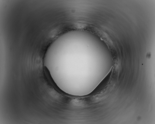 X0000103400568200809120927