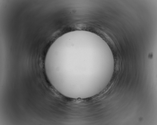 X0000103400569200809120927