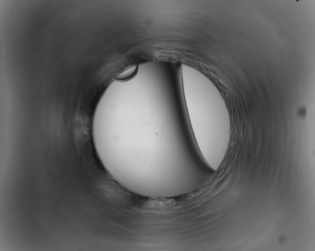 X0000103400571200809120927