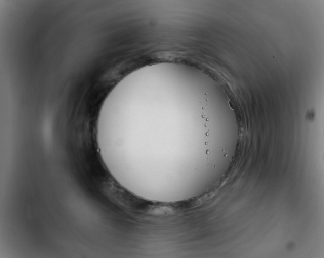 X0000103400572200809120927