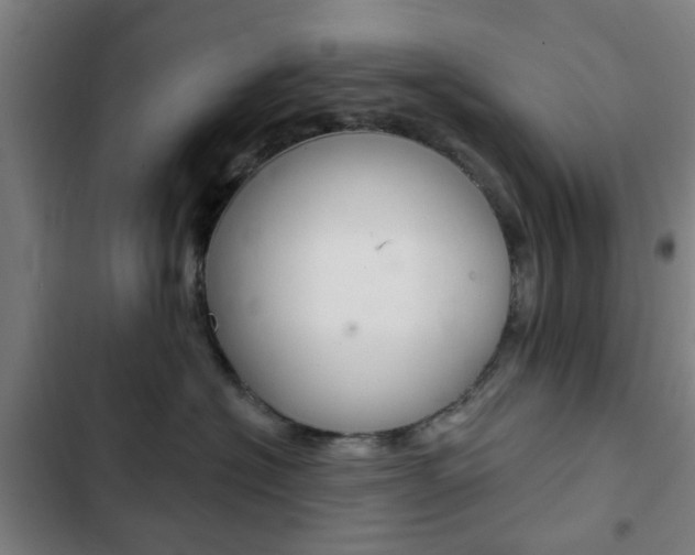 X0000103400574200809120927