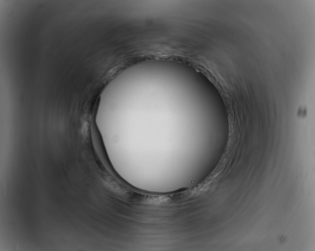 X0000103400576200809120927