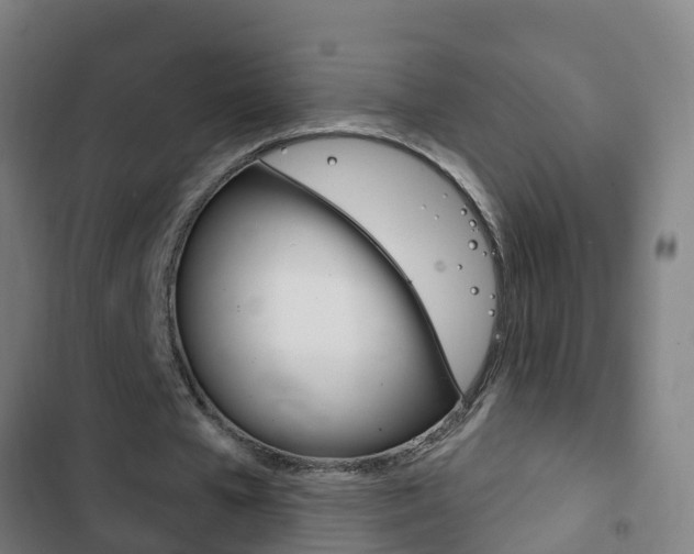 X0000103400577200809120926
