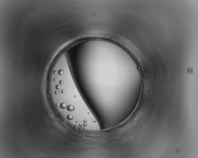 X0000103400580200809120926