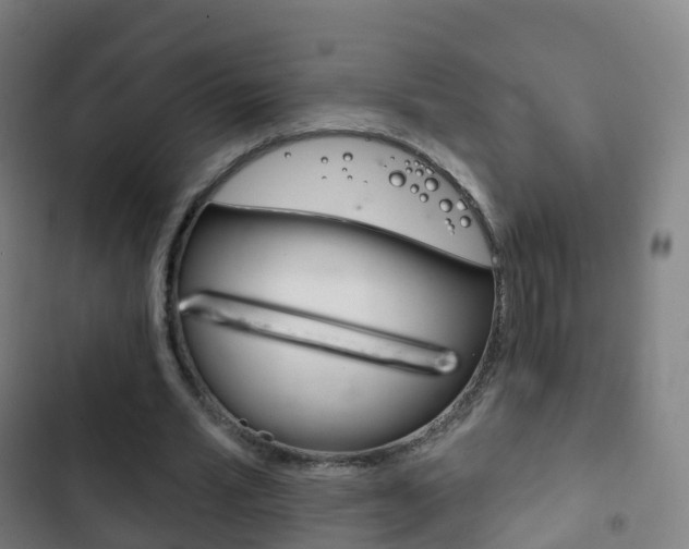 X0000103400581200809120926