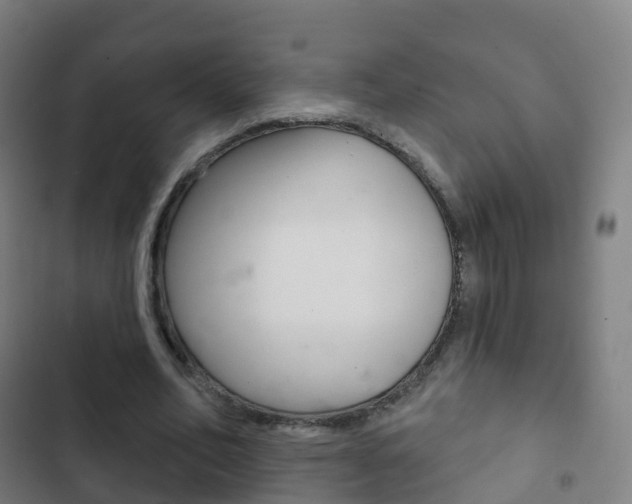 X0000103400582200809120926