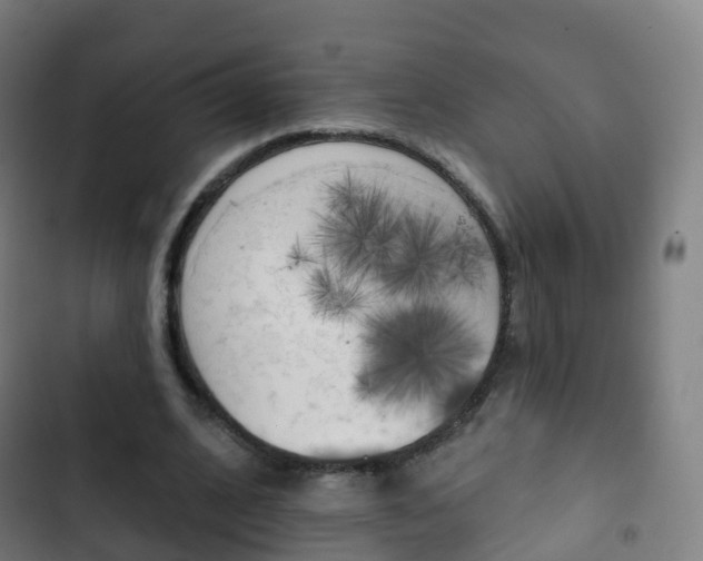 X0000103400584200809120926