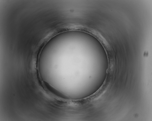 X0000103400585200809120926
