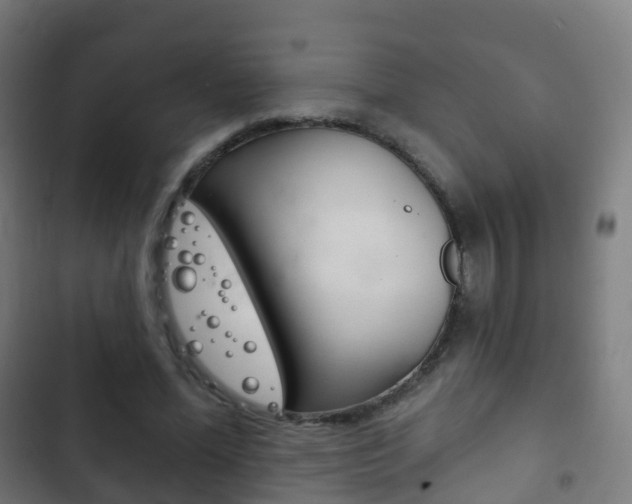X0000103400588200809120926