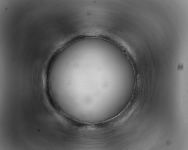 X0000103400589200809120926