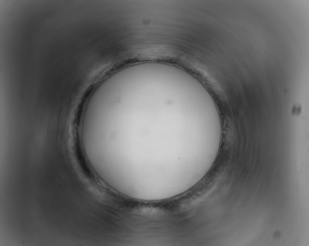 X0000103400590200809120926
