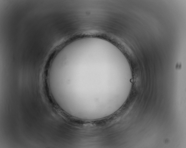 X0000103400591200809120926