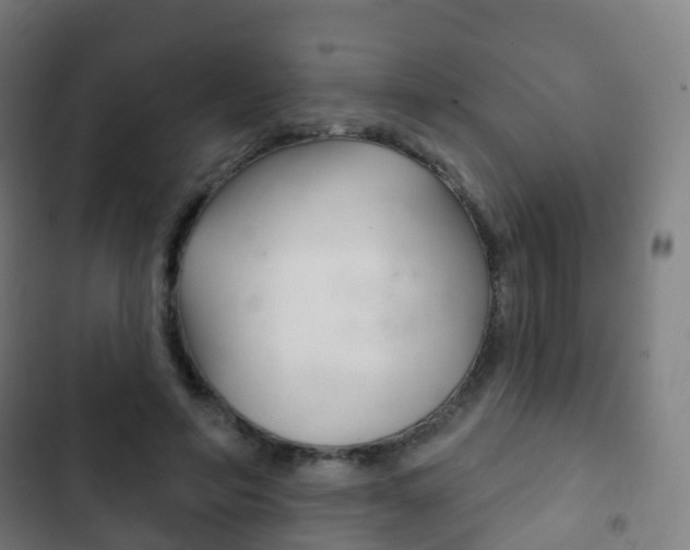 X0000103400594200809120926