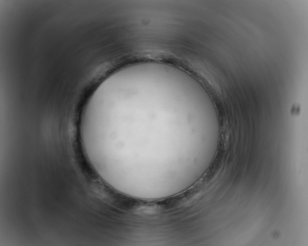 X0000103400595200809120926
