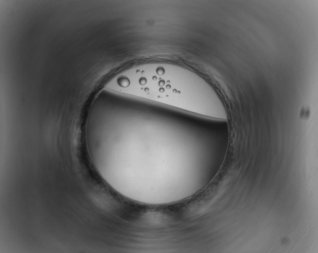 X0000103400596200809120926