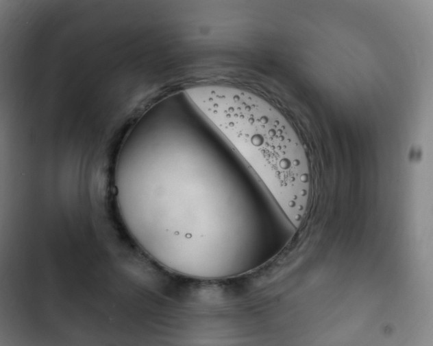 X0000103400600200809120925