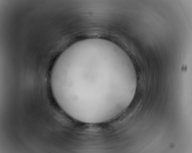 X0000103400601200809120925