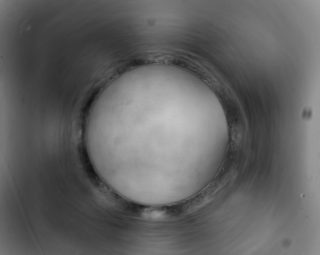 X0000103400602200809120925