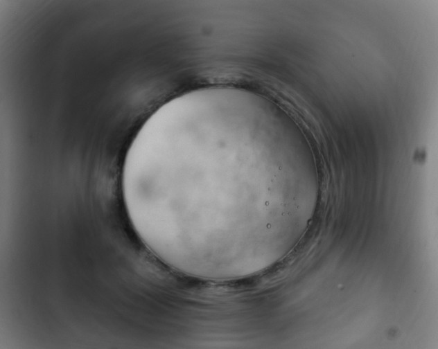 X0000103400604200809120925
