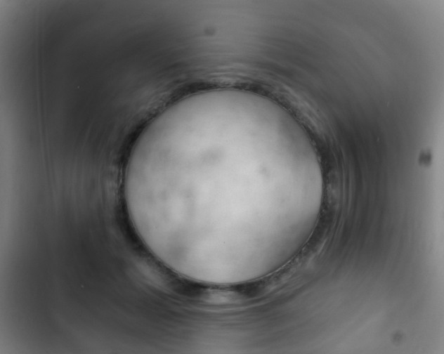 X0000103400605200809120925