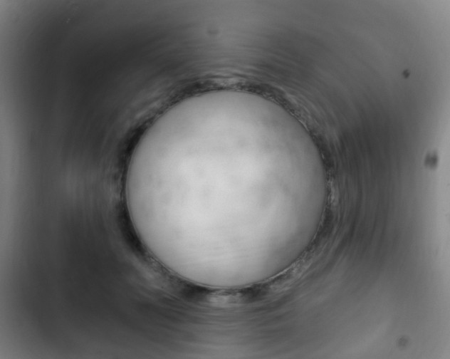 X0000103400606200809120925