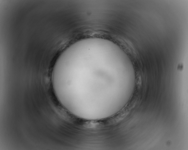 X0000103400607200809120925