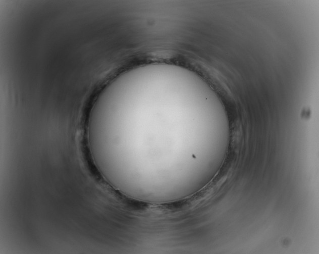 X0000103400608200809120925