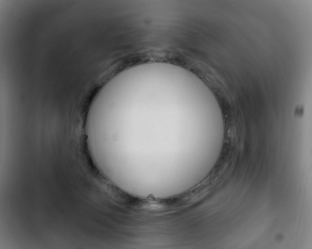 X0000103400610200809120925