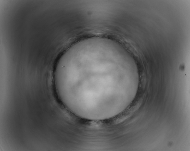 X0000103400612200809120925