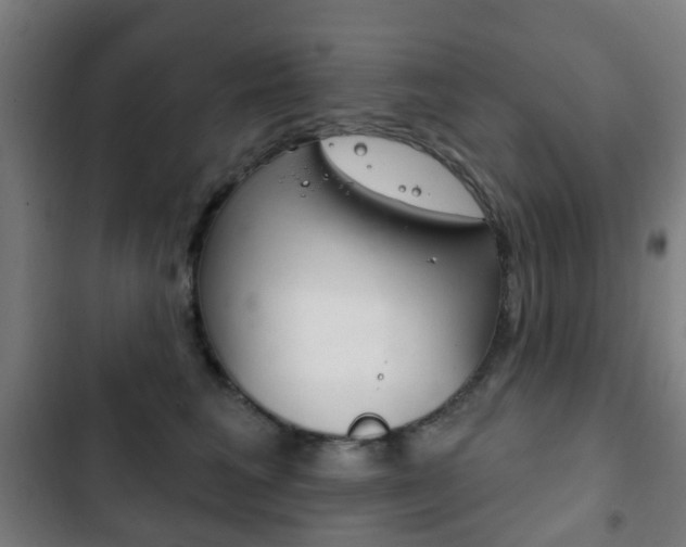 X0000103400613200809120925