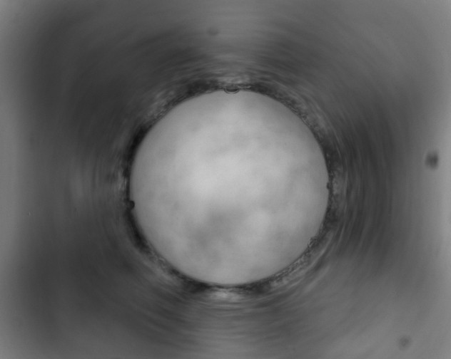 X0000103400614200809120925