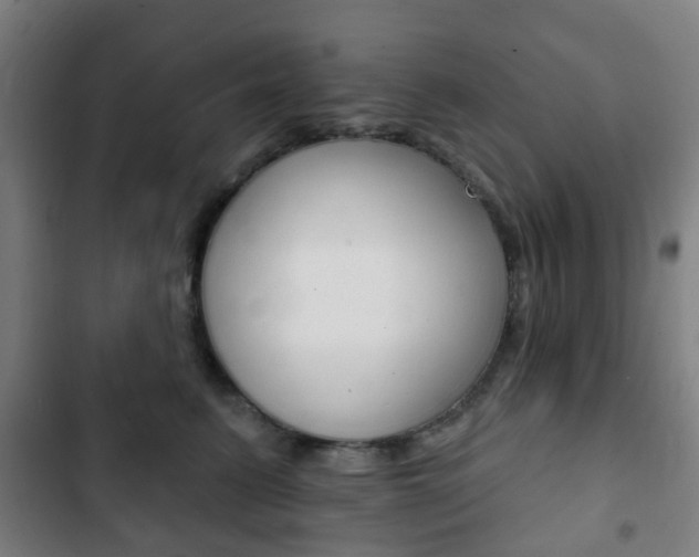 X0000103400615200809120925