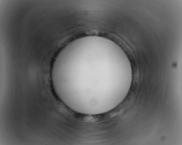 X0000103400616200809120925