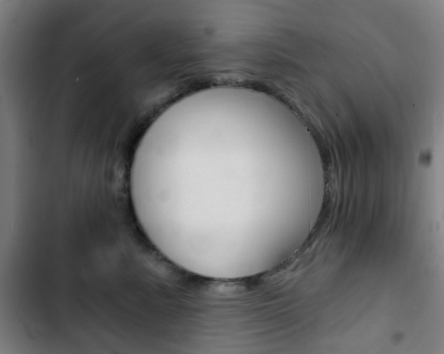 X0000103400619200809120925