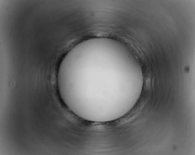 X0000103400620200809120925