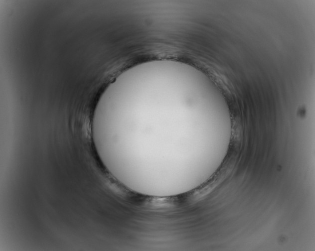 X0000103400622200809120925