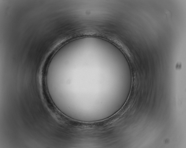 X0000103400626200809120924