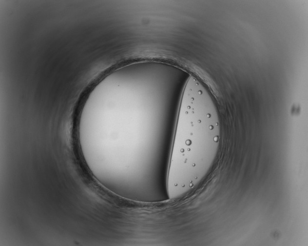 X0000103400627200809120924