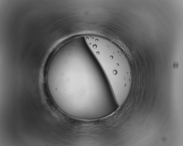 X0000103400628200809120925