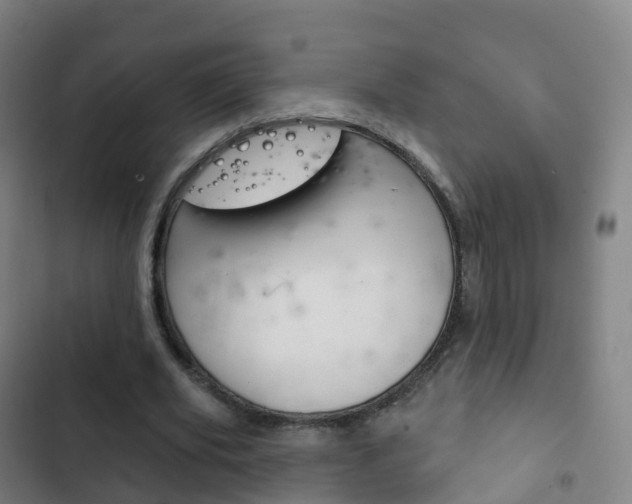 X0000103400629200809120925